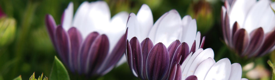 在线电话压力测试