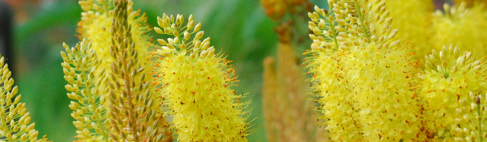 手机号轰在线轰炸